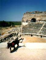 Mileto-cane archeologo.jpg